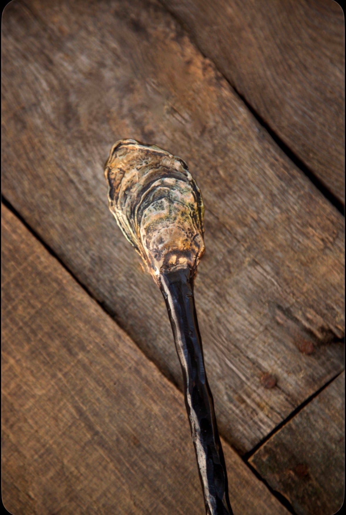 Oyster Shell Firepoker